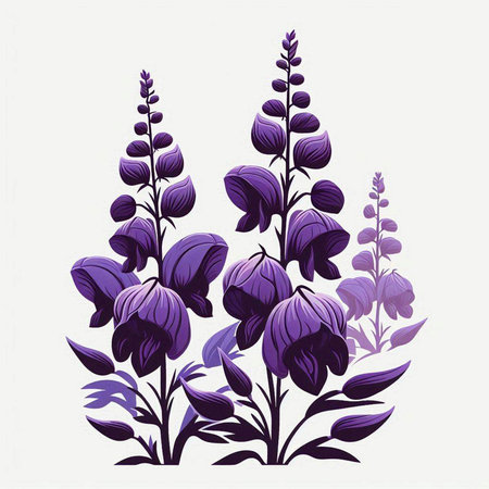 purple lupine flowers on a white background, vector illustrationのイラスト素材