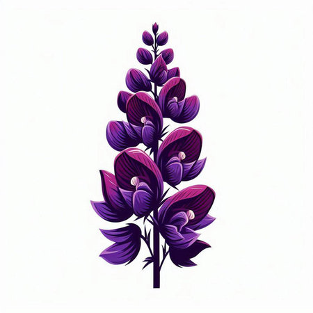Purple lupine flower on white background. Vector illustration.のイラスト素材