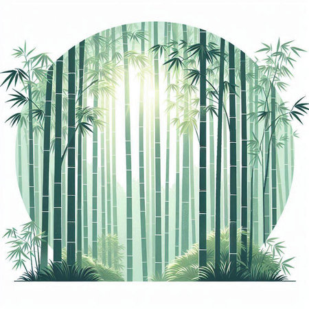 Bamboo forest background with sun rays and space for text, vector illustrationのイラスト素材