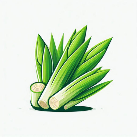 lemon grass isolated on white background. vector illustration for your designのイラスト素材