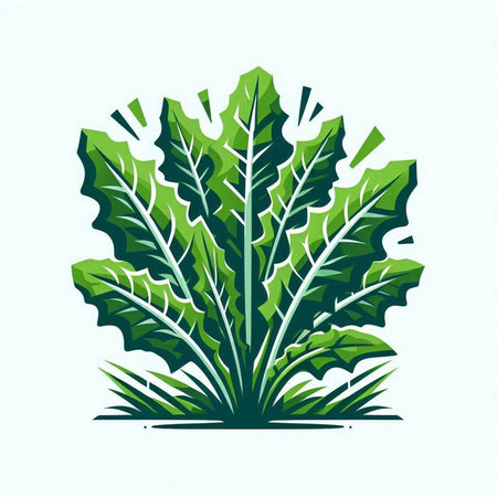 Illustration of a big green leaf isolated on a white background.のイラスト素材