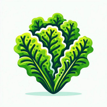 Lettuce vector illustration. Lettuce icon. Lettuce icon. Lettuce icon. Lettuce icon. Lettuce iconのイラスト素材
