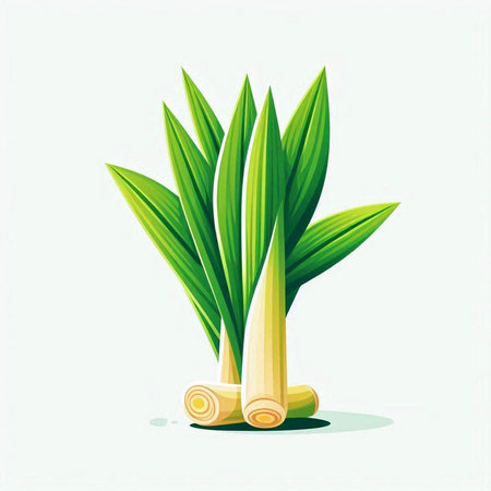 Sugar cane vector illustration. Isolated on a white background.のイラスト素材