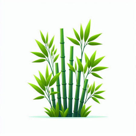Bamboo plant with green leaves isolated on white background. Vector illustration.のイラスト素材