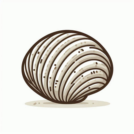 Illustration of a shell isolated on a white background. Vector illustration.のイラスト素材