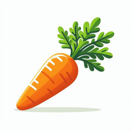 Carrot isolated on white background. Vector illustration. Eps 10.のイラスト素材