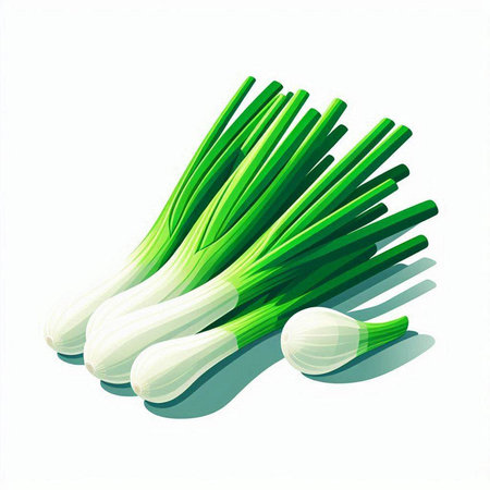 Spring onions isolated on white background. Vector illustration. Eps 10.のイラスト素材