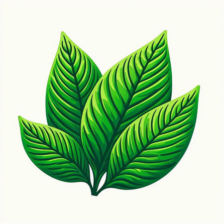 Green leaves on a white background. Vector illustration. Eps 10.のイラスト素材