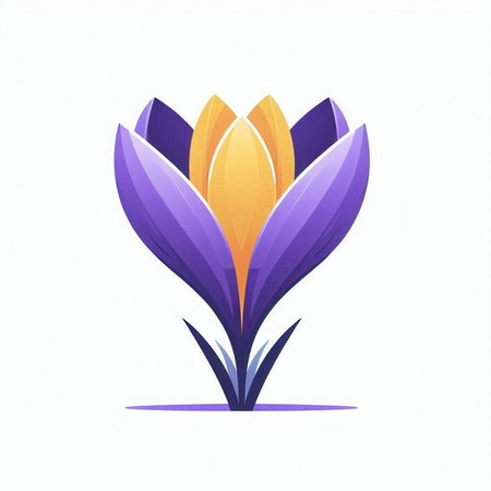 purple crocus flower on a white background. vector illustration.のイラスト素材