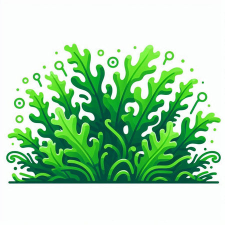 Green algae on a white background. Vector illustration. Eps 10.のイラスト素材