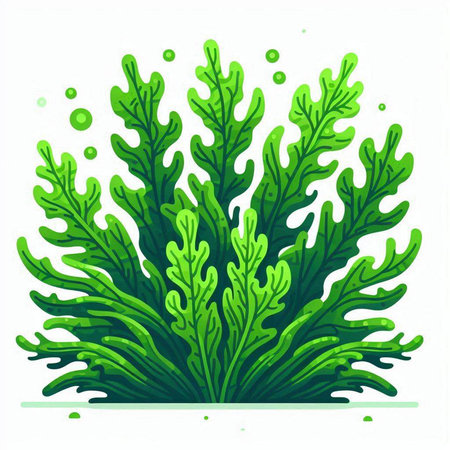 Green seaweed isolated on white background. Vector seaweed illustration.のイラスト素材