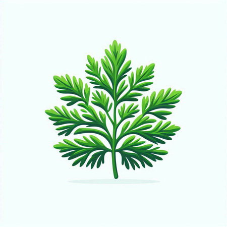 Coriander leaf. Vector illustration. Isolated on white background.のイラスト素材