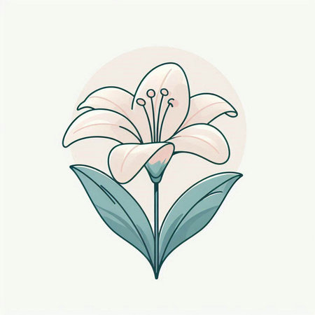 Illustration of lily flower on white background. Vector illustration.のイラスト素材