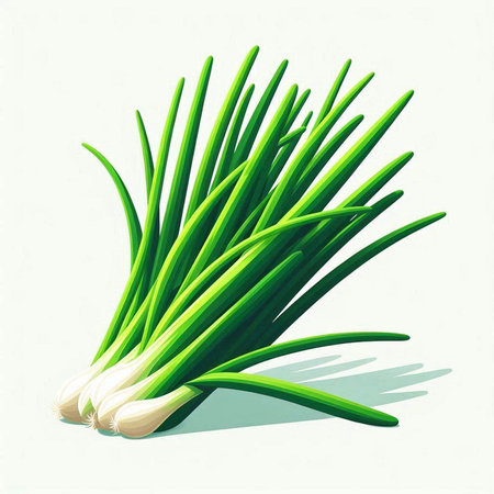 Fresh spring onion on white background. Vector illustration. Eps 10.のイラスト素材