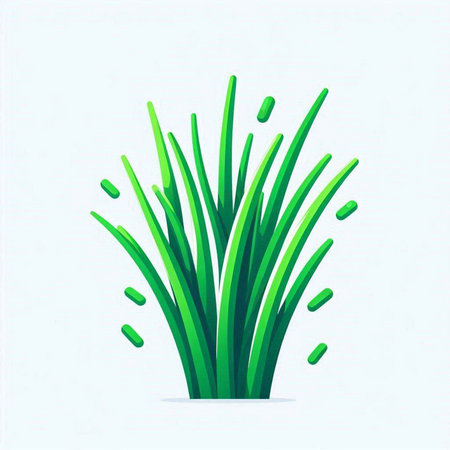 Illustration of green chives on a white background. Vector illustrationのイラスト素材
