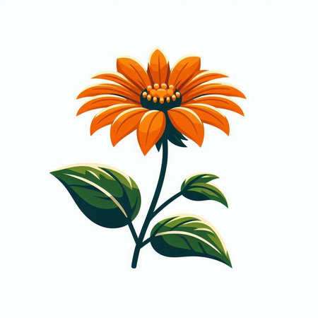 Beautiful orange flower isolated on white background. Vector illustration for your designのイラスト素材