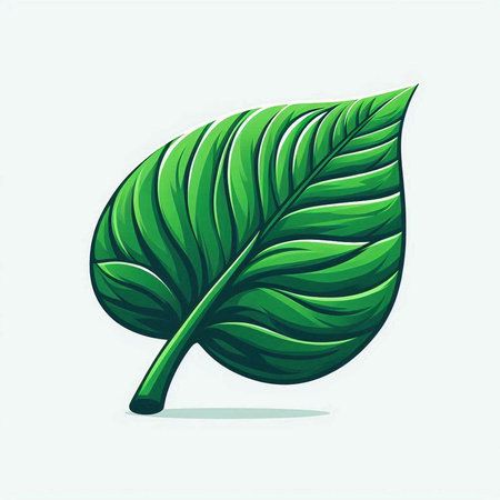 Illustration of a green leaf isolated on a white background - vectorのイラスト素材