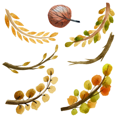 watercolor branchのイラスト素材