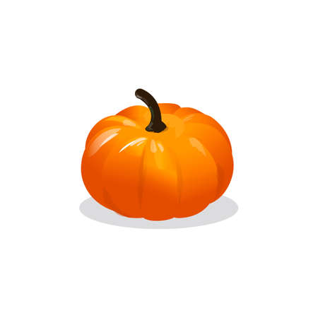 Pumpkin food vector icon design illustrationのイラスト素材