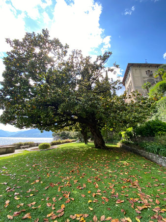 Botanical garden in the city of Varenna, Italy. A picturesque place in the mountains. The park....