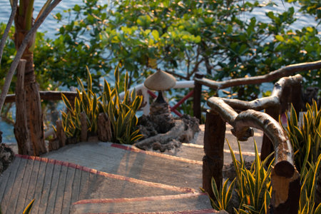 Tropical landscape, stairs to the seaの写真素材