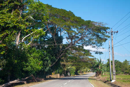 Country road. Bohol, Philippineの写真素材