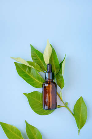 Flat lay ,top view of citrus essential oil or face serum in amber glass bottle with fruit branch leaves on blue background.の写真素材