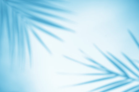 Shadow overlay effect. Shadows of tropical palms and leaves on a blue wall in sunlight. Soft...