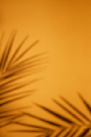 Tropical palm plant shadow on bright orange background with blank space. Top view of tropical leaf...