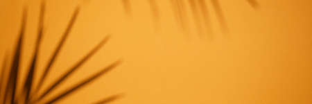 Empty wood table top and blurred summer beach in tropical resort banner background, display or montage, copy space, defocused.の写真素材