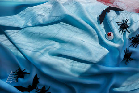 Autumn Minimal composition on blue fabric . Autumn, fall, thanksgiving day, halloween concept with spiders. Top view, flat layの写真素材