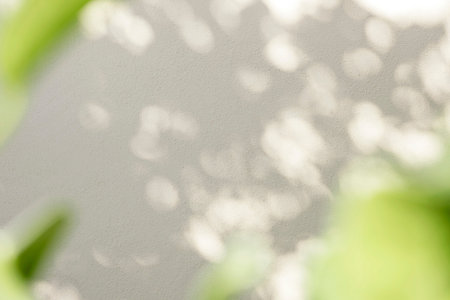 Leaves natural shadow bokeh overlay on white texture background, for product presentation, backdrop...