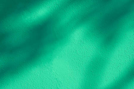 Green toned leaves natural shadow bokeh overlay on white texture background, for product presentation, backdrop and mockup, summer seasonal concept, minimal trend styleの写真素材