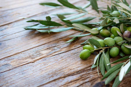 Olive branch on wooden rustic background . Fresh and Healthy organic olive fruits border design with copy space for your textの写真素材