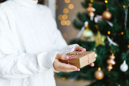 Christmas eco gift in woman hands. Glowing bokeh, fir tree background. Winter holidays . Zero waste, plastic freeの写真素材