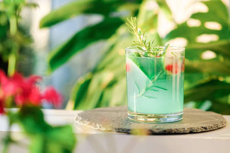 Mojito soft drink, fresh alcoholic green cocktail or lemonade with lime,red berries, ice and rosemary in glasses. Green monstera plant on background.Summer vocation conceptの写真素材