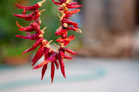 Red hot chili peppers hanging on a rope on the green nature backgroundの写真素材