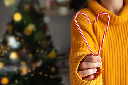 Christmas candy cane in hands in the shape of a heart on the background of a Christmas treeの写真素材