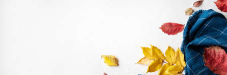 Autumn composition. Blue plaid on white background. Autumn, fall concept. Flat lay, top view, copy spaceの写真素材