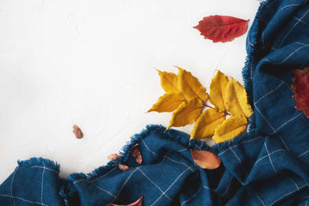 Autumn composition. Blue plaid on white background. Autumn, fall concept. Flat lay, top view, copy spaceの写真素材