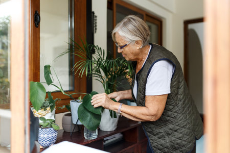Senior woman taking care of home plant near window indoors. Creating zen atmosphere at homeの写真素材