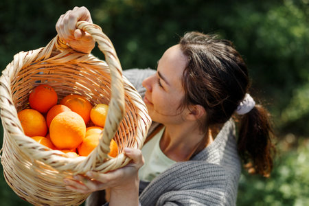 Woman farmer from orange farm. The gardener collecting orange into basket. Smiling farmer carrying by fresh oranges at farm market for sale. Orange farm business concept in Cyprusの写真素材