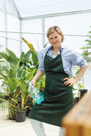 Female commercial gardener in market gardening or nursery with apron watering plants.の写真素材
