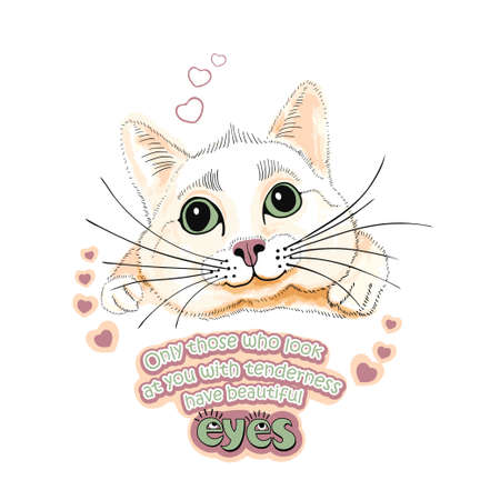 valentine, in love, drawn funny cat with green eyes, inscription: Only those who look at you with tenderness have beautiful eyes.のイラスト素材