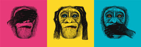 Three monkeys, I don't see anything, I don't hear anything, I won't say anything to anyone. Allegory of ignoring problems and dangers. Three monkeys in the style of pop artの写真素材