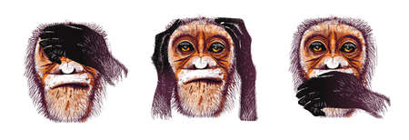 Three monkeys, I don't see anything, I don't hear anything, I won't say anything to anyone. Allegory of ignoring problems and dangers.の写真素材