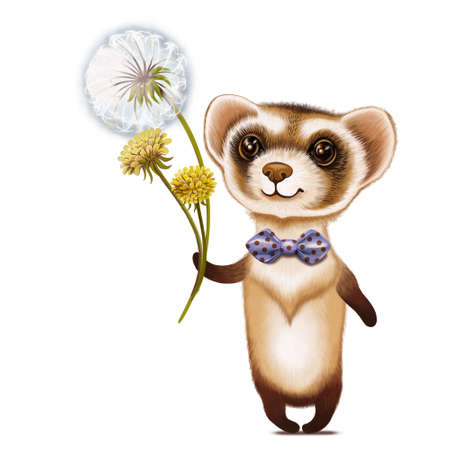 Cartoon character funny ferret with a bouquet of dandelions. Happy birthday card. Picture, emblem, illustration for children, for printing on textiles, t-shirts, mugs and souvenirs.の写真素材