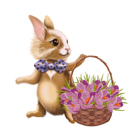 Bunny, a cartoon character, with a basket of flowers. Easter, Valentine's day, happy birthday greeting card. Illustration on a white background.の写真素材
