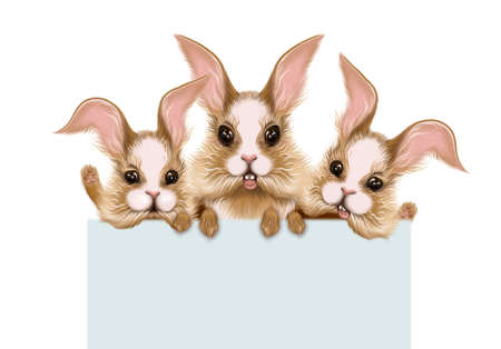 Three funny bunnies are holding a banner with space for text. Postcard, party banner, planning, schedule, diary. illustration for packaging.の写真素材