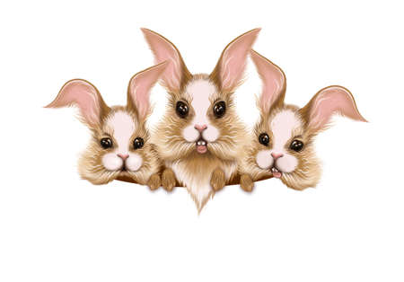 Three funny bunnies are holding a banner with space for text. Postcard, party banner, planning, schedule, diary. illustration for packaging.の写真素材